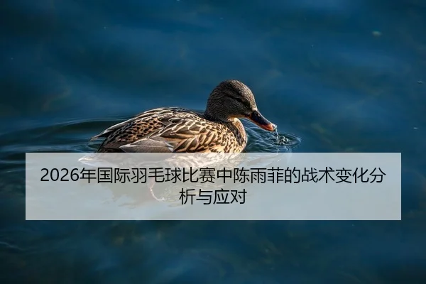 2026年国际羽毛球比赛中陈雨菲的战术变化分析与应对