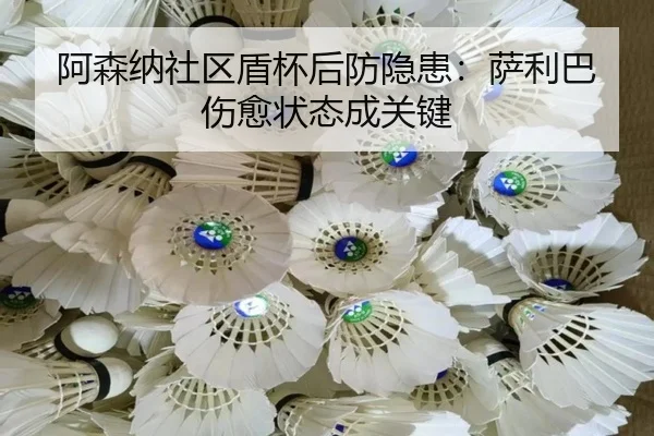 a-sen-na-she-qu-dun-bei-hou-fang-yin-huan-sa-li-ba-shang-yu-zhuang-tai-cheng-guan-jian-3-620.jpg