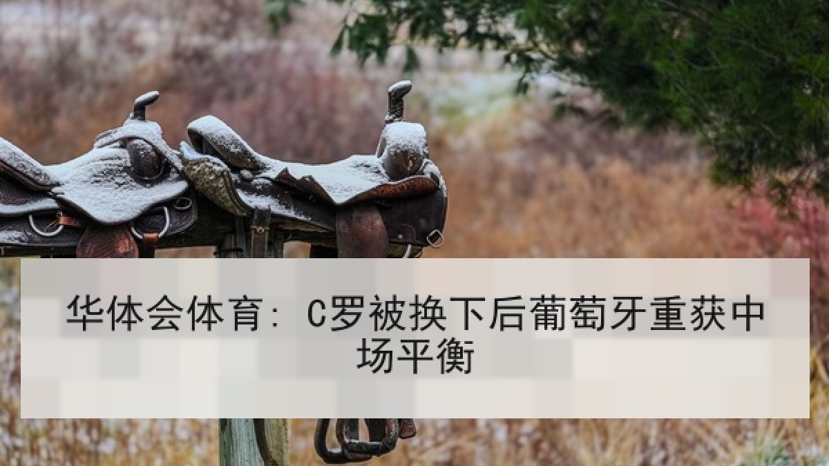 华体会体育: C罗被换下后葡萄牙重获中场平衡 华体会体育: C罗被换下后葡萄牙重获中场平衡