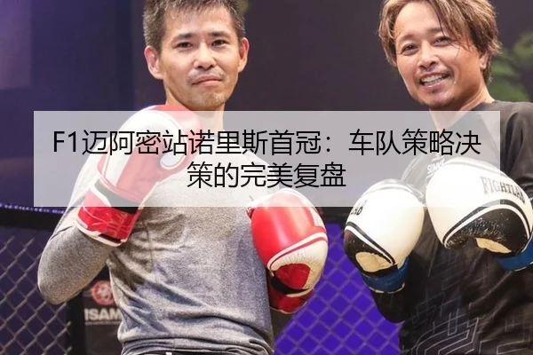 mai-a-mi-zhan-nuo-li-si-shou-guan-che-dui-ce-lve-jue-ce-de-wan-mei-fu-pan-2-847.jpg